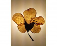 Sede Adalice Araújo recebe “Costa Oeste” como primeira mostra do ano