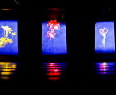 Ainda dá tempo: três exposições deixam catálogo do MON no domingo