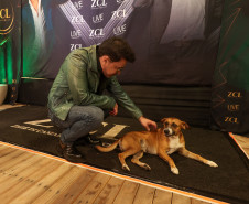 A dupla Zezé Di Camargo e Luciano durante a apresentação do seu show dentro da programação do Verão Maior Paraná, em Matinhos - 07/02/2026