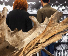 Novo miniauditório do MON é inaugurado com exposição de fotos de Dico Kremer