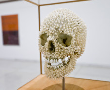 Ainda dá tempo: três exposições deixam catálogo do MON no domingo