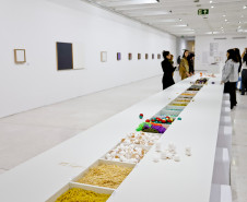 Ainda dá tempo: três exposições deixam catálogo do MON no domingo