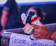 Clássicos do sertanejo no Verão Maior, Teodoro & Sampaio e Gian & Giovani agitam Pontal do Paraná