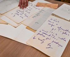 Família de Paulo Leminski recebe textos do autor que ficaram esquecidos em avião