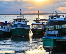 Ilha do Mel tem noite especial do Verão Maior e conquista artistas