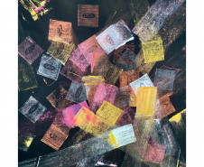 MON realiza nova exposição internacional no Olho