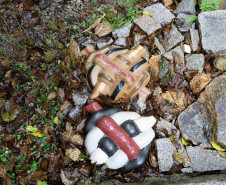 Livro sobre mulheres artistas e seus espaços de trabalho será lançado no MUPA