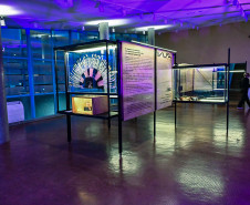 Paraná inicia implantação inédita de Museus Satélites com abertura do MUPA Londrina