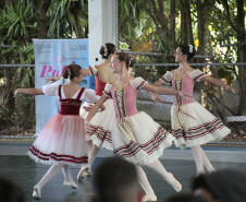 Arte para todos: Escola de Dança Teatro Guaíra se apresenta em escola de Curitiba