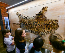 Patrimônio, memória e descoberta: 200 alunos visitam o Museu Satélite MUPA Pato Branco