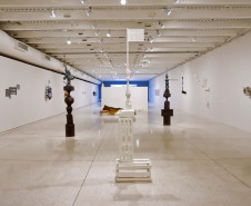 Exposição “Teia à Toa”, do artista Barrão, entra na reta final no MON