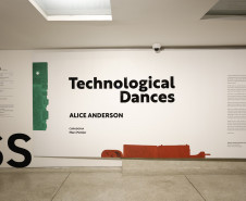 Mostra "Technological Dances", da artista Alice Anderson, fica em cartaz até domingo no MON