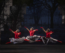 Agenda Cultural tem Bienal de Curitiba no MON, Gregorio Duvivier, Balé GiselleS e mais