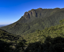 Ação educativa celebra o patrimônio cultural e natural da Serra do Mar 