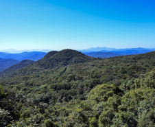 Ação educativa celebra o patrimônio cultural e natural da Serra do Mar 