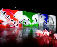 Arte para Maiores promove conversa com o artista e o curador de exposição multimídia