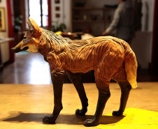 Arte e natureza: Museu Casa Alfredo Andersen inaugura mostra Bichos do Paraná