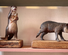 Arte e natureza: Museu Casa Alfredo Andersen inaugura mostra Bichos do Paraná