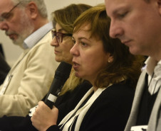 Superintendente de Cultura Luciana Casagrande.