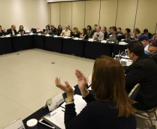 Reunião CONSEC de 2019. 