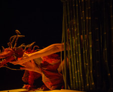 Mostra Paranaense de Teatro de Bonecos acontece entre 14 e 21 de julho.