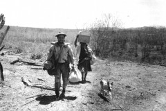 Comemoração aos 50 Anos do MIS-PR tem programação cultural diversificada em dezembro