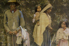 Eu Memória, Eu Floresta: História Oculta