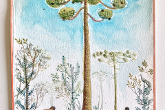 Obra Araucária de Alex Cerveny