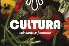 Cultura Substantivo Feminino