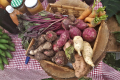 Feira de Sementes Quilombolas