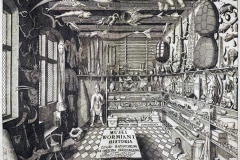 Frontispício do livro Musei Wormiani Historia mostrando o quarto das maravilhas de Worm