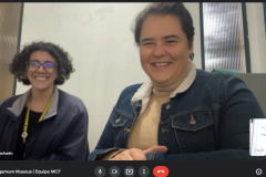 Treinamento remoto sobre plataforma Pergamum