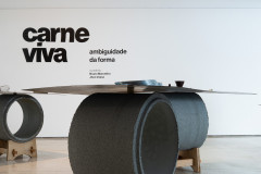 MON - Carne Viva - Ambiguidade da Forma