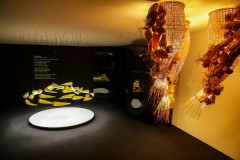 Exposição “Luz e Espaço” 