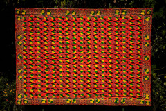 Exposição Pintura Vingada, de Delson Uchôa