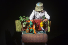 São 54 atrações, todas gratuitas, abrangendo Teatro de Marionetes, Formas Animadas, Fantoches e Teatro de Sombras -