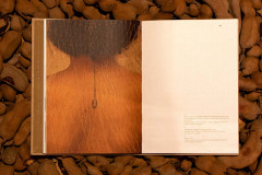 Catálogo da mostra “mau da língua” será lançado e distribuído gratuitamente neste sábado, no MUPA