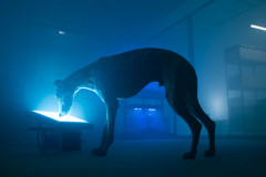 Museu Paranaense abre neste sábado inscrições para nova Ocupação do Espaço Vitrine