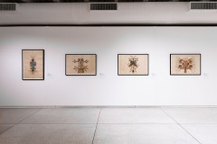 MON promove encontro para educadores sobre mostra da 35ª Bienal de São Paulo