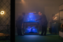 Museu Paranaense divulga resultado final do edital de ocupação do Espaço Vitrine