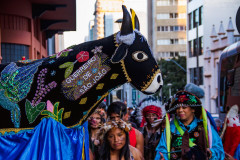 Cultura divulga resultado de habilitação da chamada complementar do Edital 003/2023 – Paraná Festivais