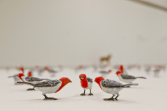 Museu Oscar Niemeyer oferece oficinas e visitas mediadas gratuitas em agosto