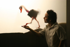 Teatro Guaíra recebe Festival Espetacular de Bonecos em fevereiro; confira as atrações