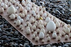 Novas exposições marcam a agenda cultural na semana do Carnaval no Paraná