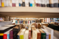 Biblioteca Pública inaugura a Estante Árabe - Coleção Jamil Snege