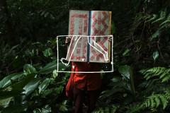 Visita mediada a "Mejtere" e aula de erva-mate: MUPA terá programação no Abril Indígena