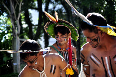 Confira o resultado dos projetos habilitados no Edital 001/2024 Multiartes, da PNAB