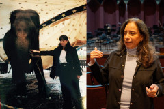 De elefanta a pilha de currículos para a escolha do 1º maestro: os causos da Orquestra Sinfônica