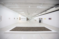 MON oferece entrada gratuita no último domingo do mês