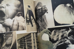 Cadernos de artista em foco: palestra com o pesquisador italiano Simone Rossi no MUPA